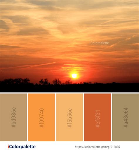 Color Palette Ideas From 1479 Sunrise Images Icolorpalette Sunset