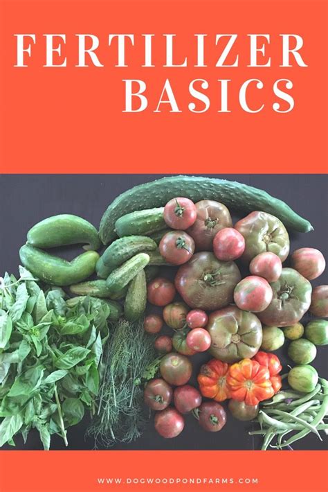 Items that ship free every day will not count toward your minimum purchase amount. Fertilizer for the Vegetable Garden: What to Know Before ...