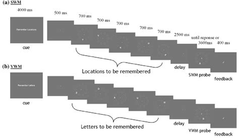 Visually Matched Spatial Working Memory And Verbal Working Memory