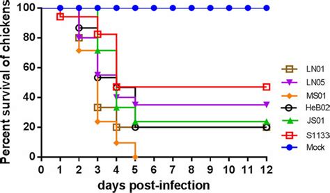 Percent Survival Of Spf Chickens After Infection With Arv Isolates Or