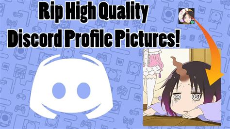 Lookup your favourite anime/manga series or view the top 10 trending ones including a random command. How To Steal High Quality Discord Profile Pictures! - YouTube