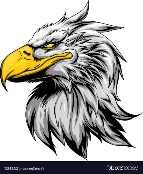 Eagle Front View Vector At Vectorified Com Collection Of Eagle Front