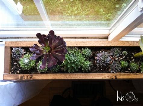 It is also easy to mount and can be hang in window sills, balconies or house sidings. DIY Idea: Make a 10 Minute Succulent Windowsill Box ...