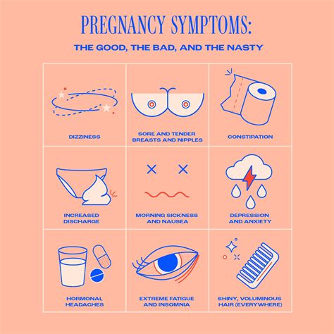Pregnancy Symptoms Explained The Memo