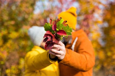 couple with bouquet of autumn leaf kissing in autumn forest stock image image of hiding