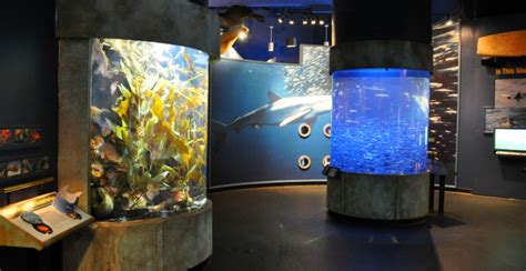 San francisco is the perfect city for your next family vacation. San Francisco with Toddlers: 10 Fun Activities