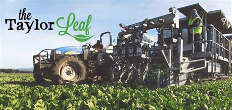 Californian Lettuce Growers Embracing Robotic Harvesting Richard