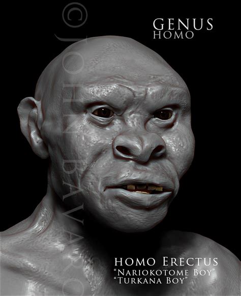 Pin On Hominids