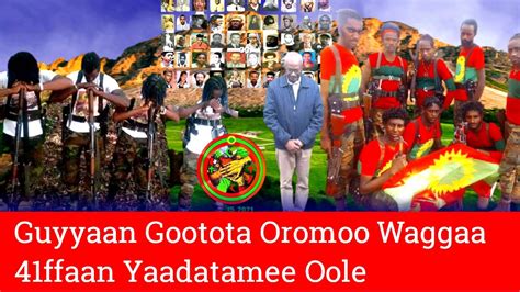 Oduu Voa Afaan Oromoo Apr 152021 Youtube
