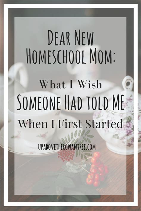 Dear New Homeschool Mom What I Wish Someone Had Told Me When I First