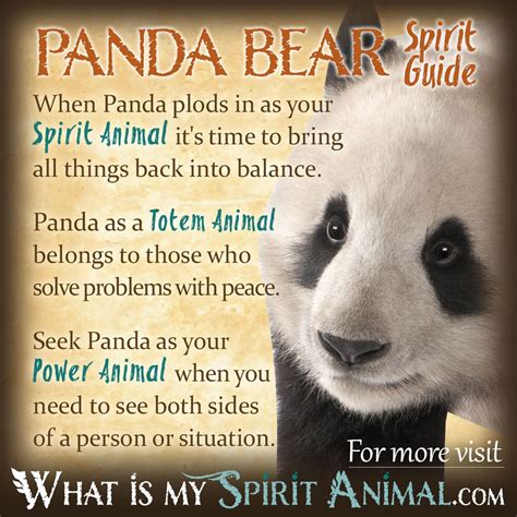 Panda Bear Symbolism And Meaning Spirit Totem And Power Animal Spirit
