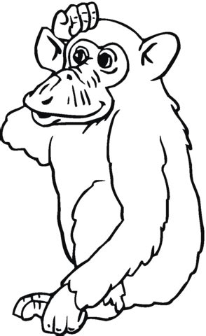 chimpanzee coloring page  printable coloring pages