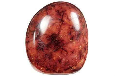 31 Free Standing Polished Carnelian Agate Madagascar 196412 For