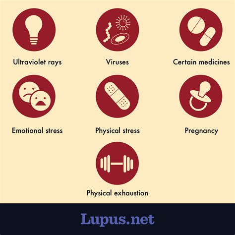 Lupus Triggers And Flares