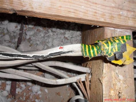 Damage To Electrical Cables By Rodents