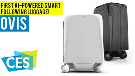 The First Ai Powered Following Robotic Suitcase Ovis At Ces 2020