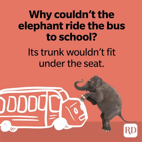 Elephant Jokes That Will Make You Laugh Your Trunks Off Readers Digest