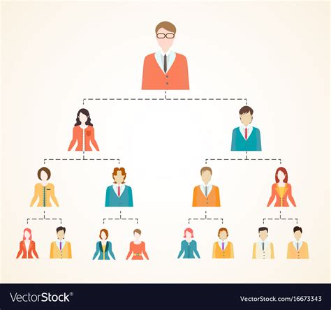Organizational Chart Corporate Business Hierarchy Vector Image