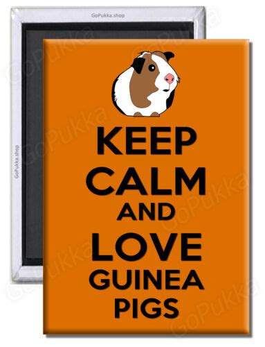 Keep Calm And Love Guinea Pigs Fridge Magnet Ebay