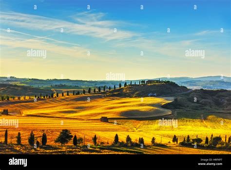Tuscany Rural Landscape Countryside Farm Cypresses Trees And Green