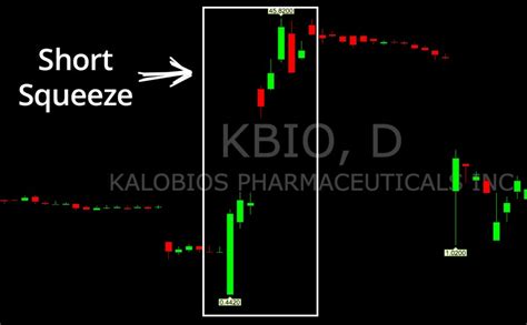 Short Squeezes Investors Underground