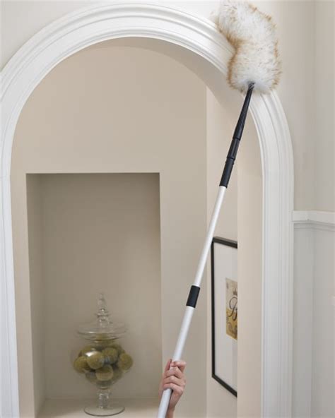 Extendable Pole Cleaning Systems Williams Sonoma