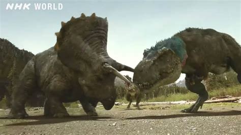The Mystery Of The Dueling T Rex And Triceratops May Finally Be Solved Paleontology World