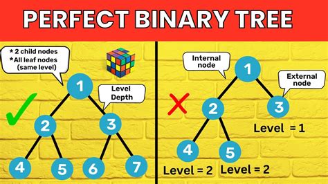 Perfect Binary Tree Tree Data Structure Data Structures And