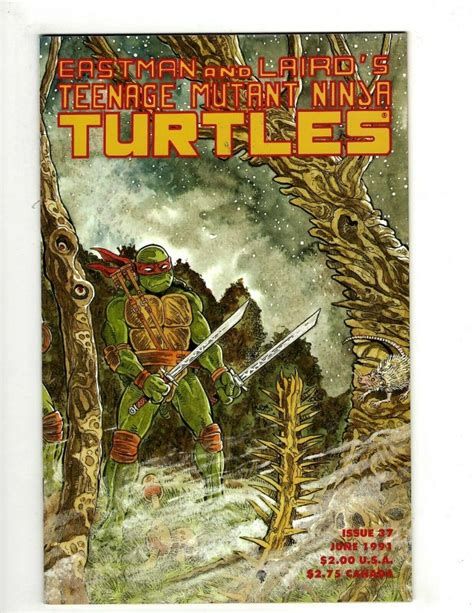 Teenage Mutant Ninja Turtles 37 Nm 1st Print Mirage Studios Comic