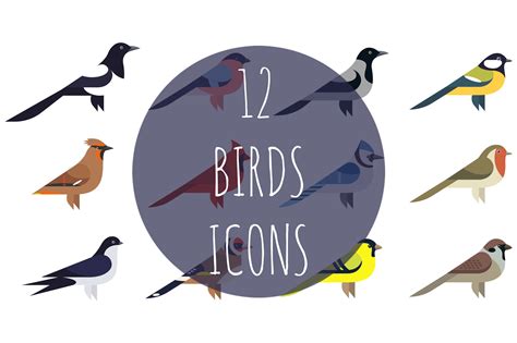 12 Birds Icons Background Graphics ~ Creative Market