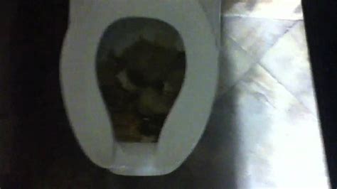Toilet Filled With Crap Youtube