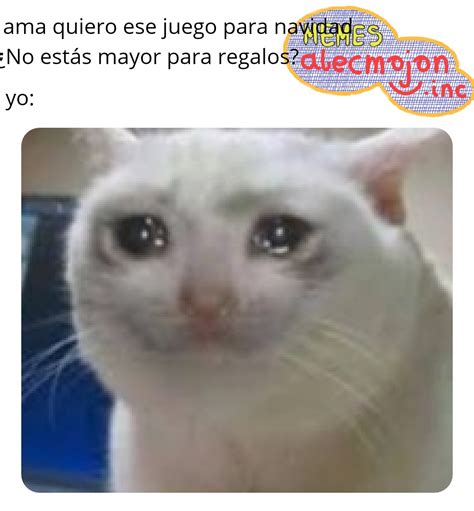 El Gato Meme Crying