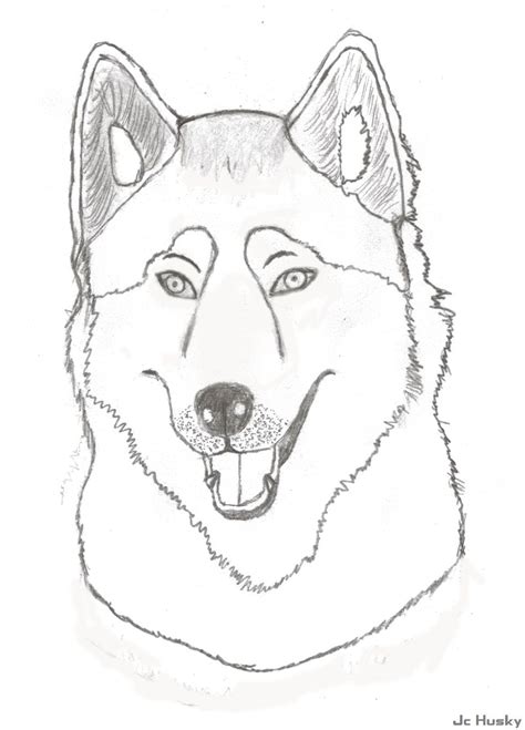 Have new images for cute husky puppy coloring pages coloring pages cute puppies awesome husky puppy drawing to color? Siberian Husky Coloring Pages - Coloring Home