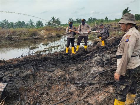 Polisi Tangkap Pelaku Bakar Lahan Di Kawasan Hutan