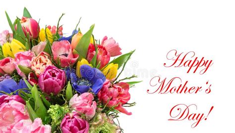 Bouquet Spring Tulip Flowers Mothers Day Stock Photo Image Of Bouquet
