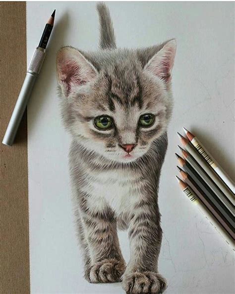 Pin By Cansu On Artistic Prismacolor Art Pencil Art Drawings
