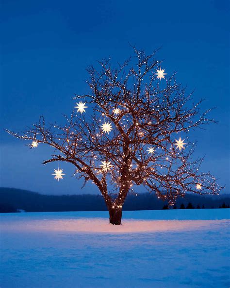 Great savings & free delivery / collection on many items. Christmas Star Decorations | Martha Stewart