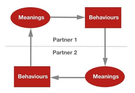 Staemmlers Schemes Meanings And Behaviours Therapy Duo