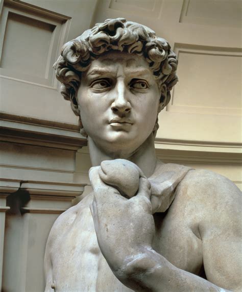 David Head Of Sculpture By Michelangelo Michelangelo Buonarroti As
