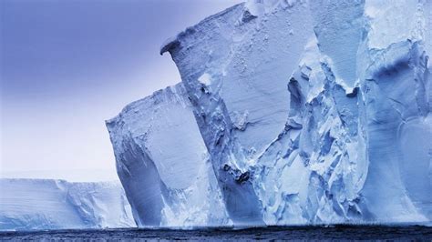 Hilfe Die Antarktis Schmilzt Der Spiegel