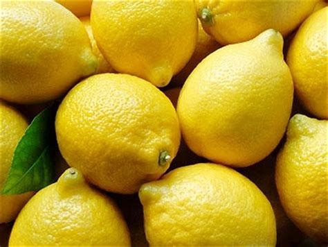 Lemon Manufacturers Fresh Lemon Suppliers Natural Yellow Lemon