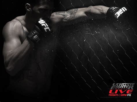 Mma Wallpapers Wallpaperup