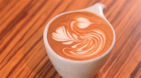 Your Video Guide To 4 Types Of Swan Latte Art Perfect Daily Grind