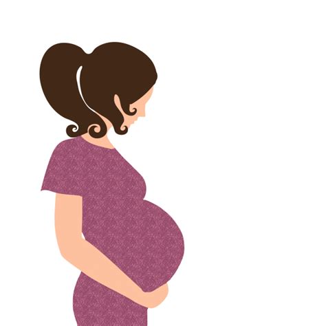 Pregnant Young Woman Clipart Free Stock Photo Public Domain Pictures
