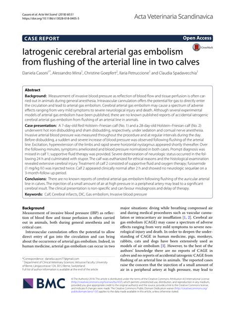 Pdf Iatrogenic Cerebral Arterial Gas Embolism From Flushing Of The