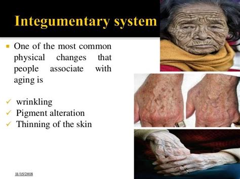 2 Physiologic Changes In Elderly