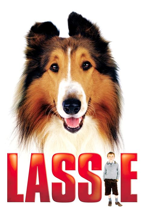 Lassie Film R Alisateurs Acteurs Actualit S