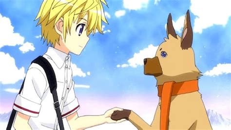 Discover 75 Anime Dog Eyes Best Induhocakina