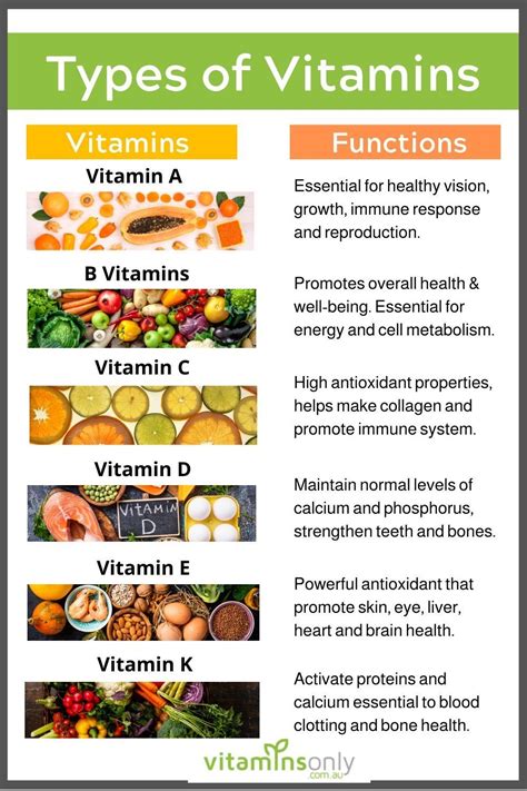 Health Nutrient Vitamin Nutrition Alternative Medicine Absorption