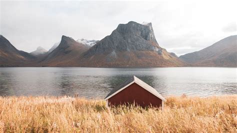 What Is Scandinavian Minimalism And How To Apply It To Your Home In 2022